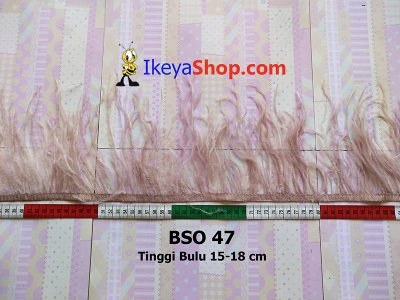 BSO 47  large2
